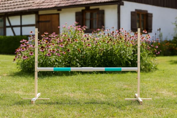 Hopphinder för hobbyhäst 160 cm, höjd 120 cm, mintgrå balk