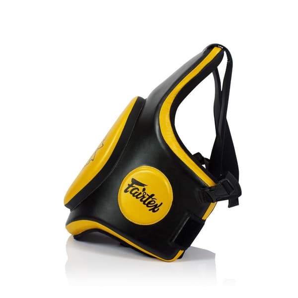Fairtex TV2 Træningsbælte Sort/Guld
