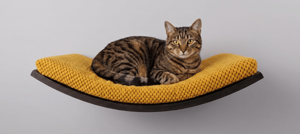 Træhylde til katte Arc 60cm Sennep
