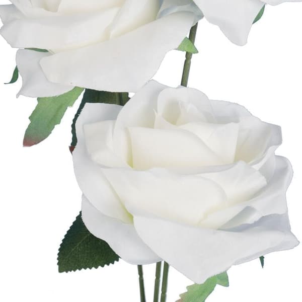 KREN 3 ROSOR 66 cm VITA