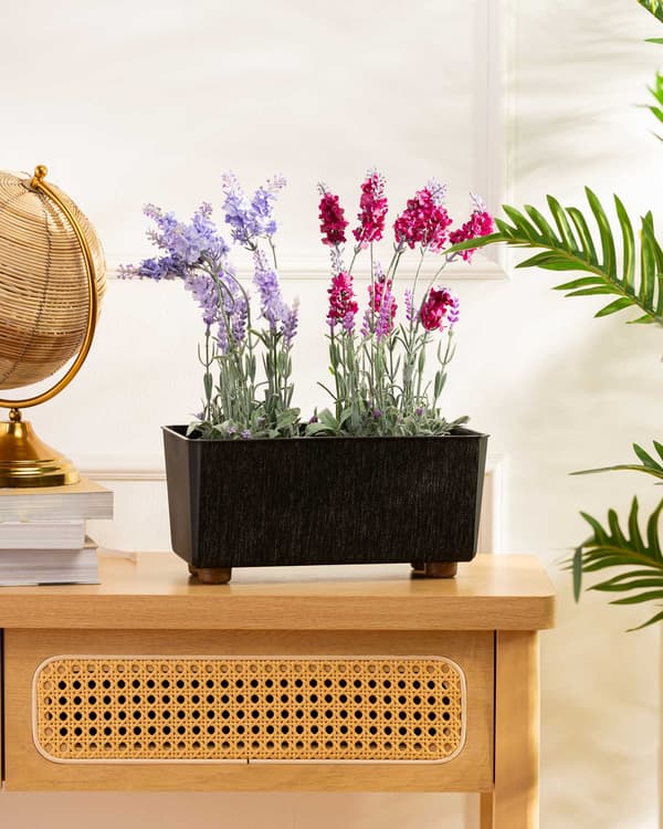 Salvia texelle blomsterkasse sort