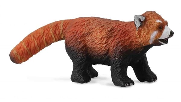 Punainen panda