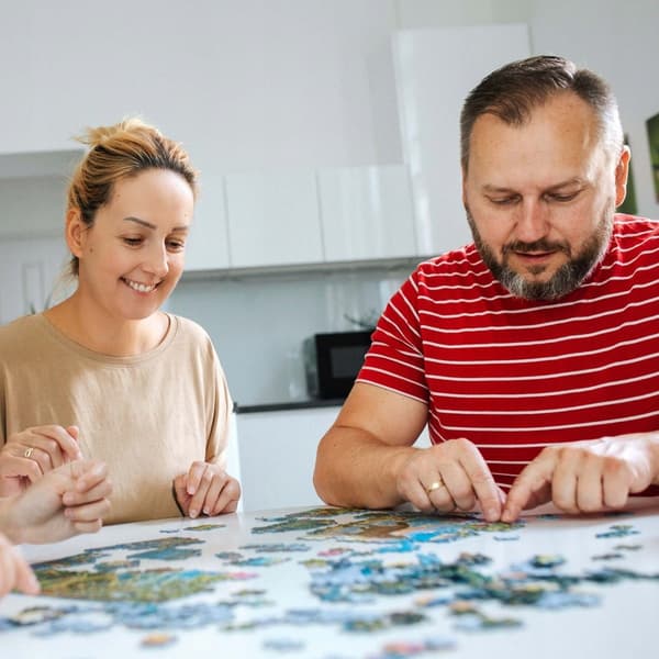 10862 Palapeli 1000 Premium Plus - Rautamies