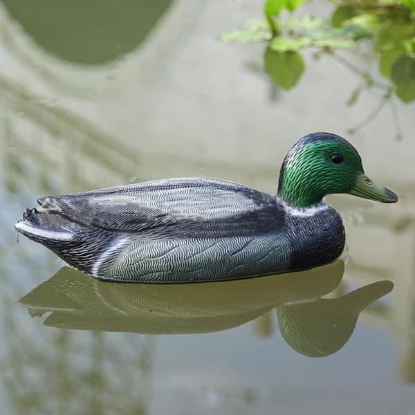 Flydende havedekoration - And til dam