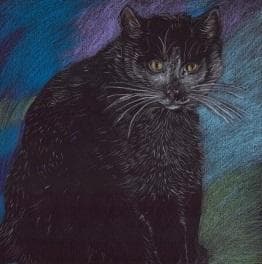 Notesbog. Pastelfarvet kat