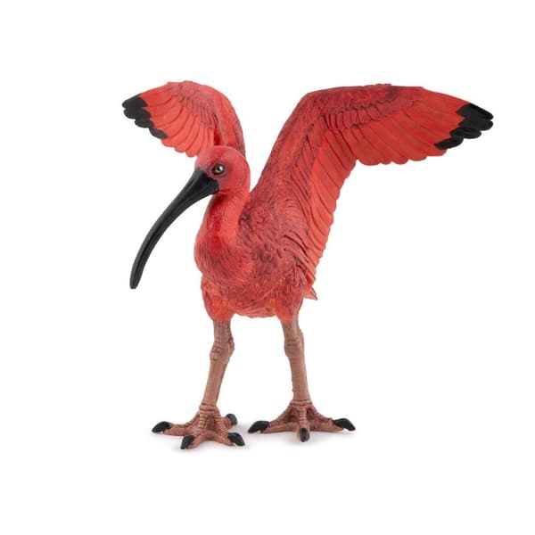 Scharlakansröd Ibis