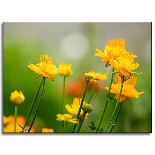 Lærredstryk Botanik Gule blomster 40x30 cm