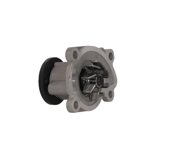 FT04484 HURTIG VANDPUMPE