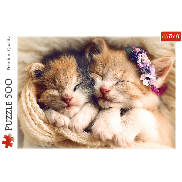 37271 "500" - Sovande kattungar