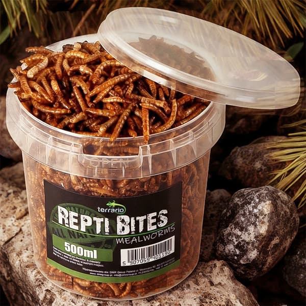 Terrario Repti Bites Melorme 500ml - tørrede melorme