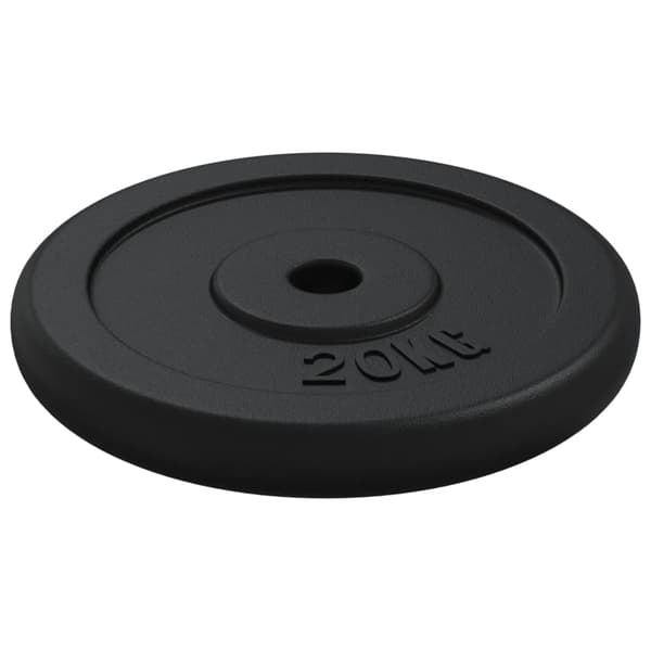 vidaXL 20 kg viktskiva i gjutjärn