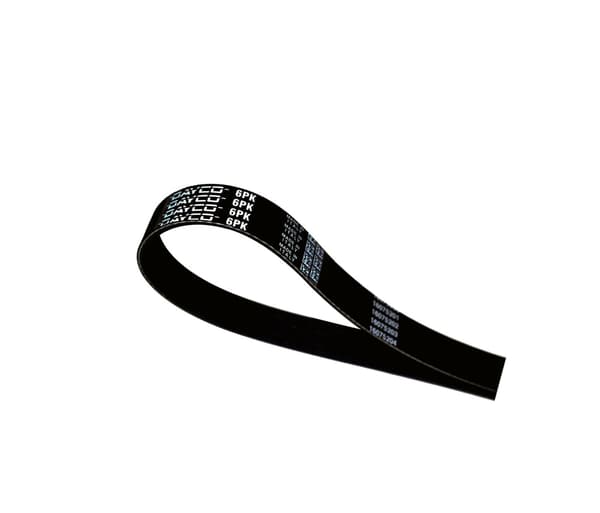 DY 6PK1855 DAYCO MIKRO-V-REM