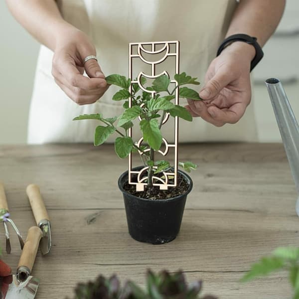 Pottespalier til klatreplanter 3 stk. støttepæl