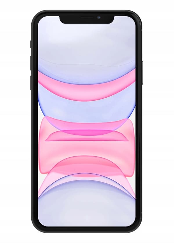 Etui til IPHONE 11 SMART MAGNET BOOKETUIL PUNG SORT + GLAS