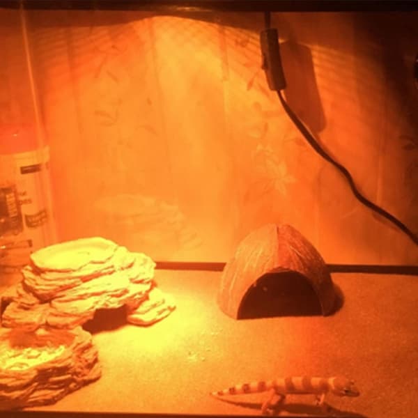 Terrario CocoCave L - sileä kookospähkinän puolikas