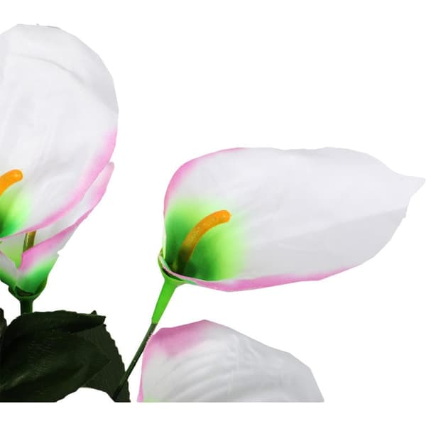 Buket med 12 lyserøde anthurium