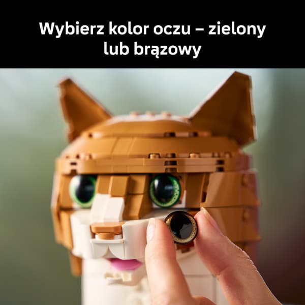 LEGO Ideas Ingefära Katten 1755 Delar Set (21376)