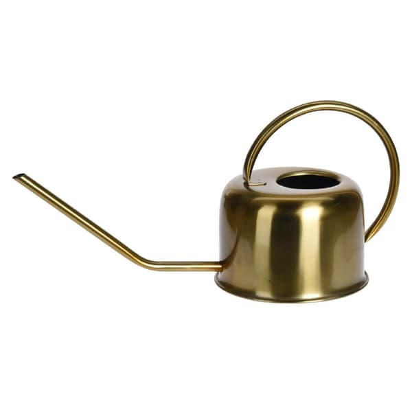 Guld vandkande i rustfrit stål 1 l