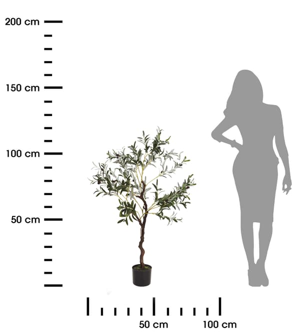 Olivträd i stor kruka, 120 cm