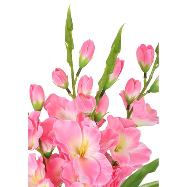 Bukett med 5 ljusrosa gladioler