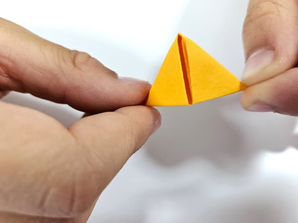 3D-origami. Avokado.
