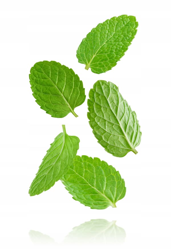 Superaromas Madaroma Mint Spearmint 30ml