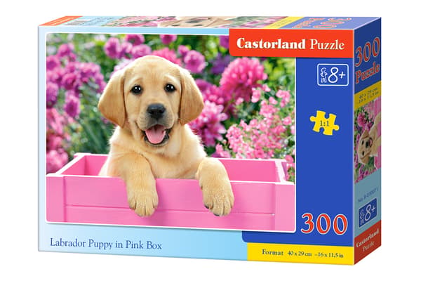 Pussel 300 labradorvalp i rosa ask