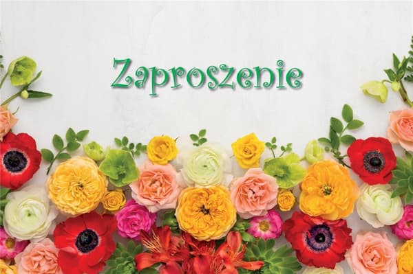 Universel invitation (10 stk.)