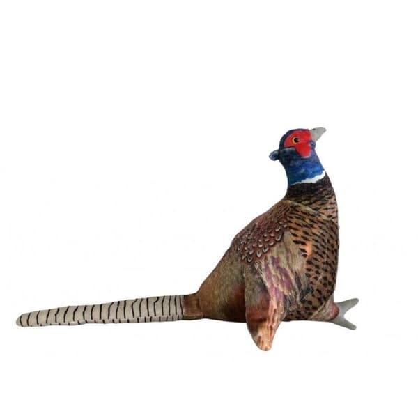 Fasaani 30 cm