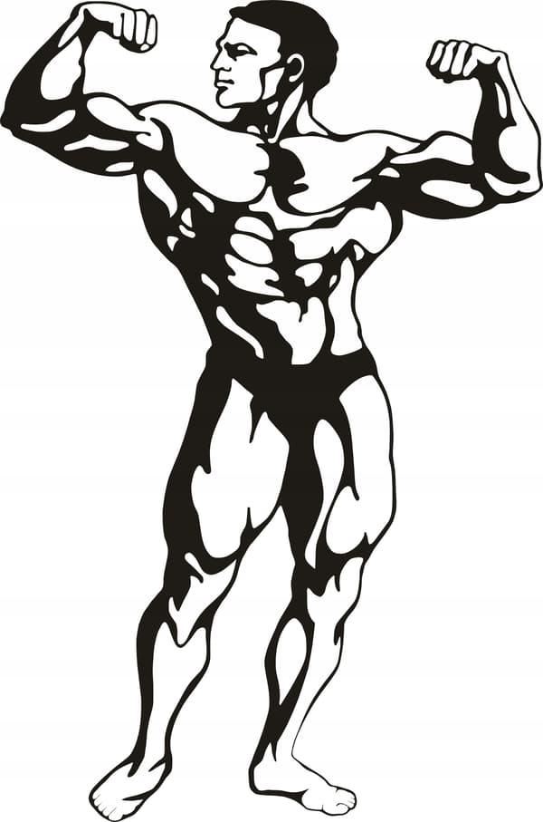 GRÆSKARPROTEIN PREMIUM 500G VEGETARISK