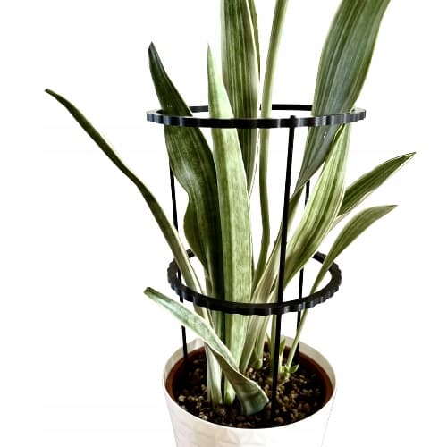 Støttering til blomsterplanter Klemme til støttering L 60x24cm