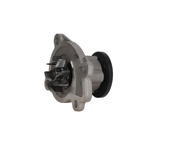 FT04484 HURTIG VANDPUMPE