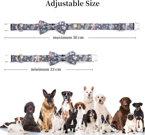 Justerbart hundkoppel med halsband 1,5 m