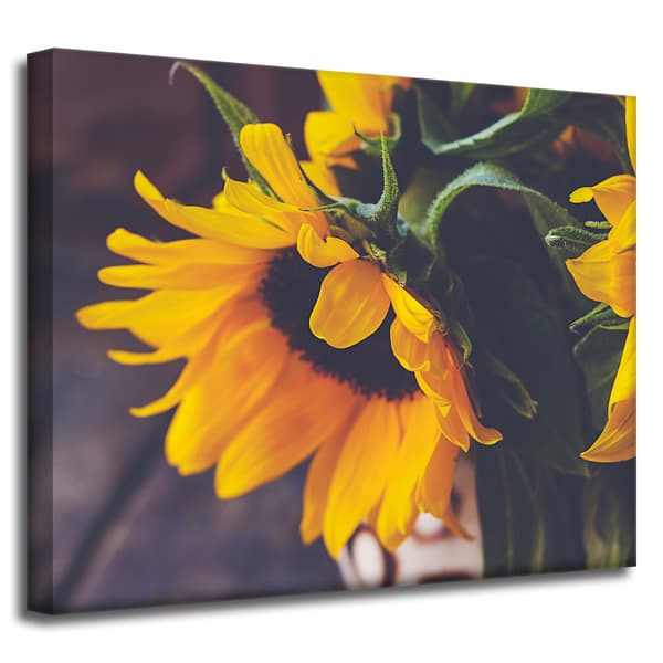 Canvastaulu Botany Auringonkukat 50x40 cm