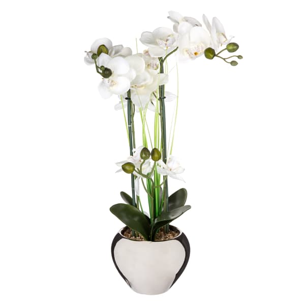 Orkidea hopeisessa ruukussa 53 cm