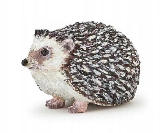 Pindsvin