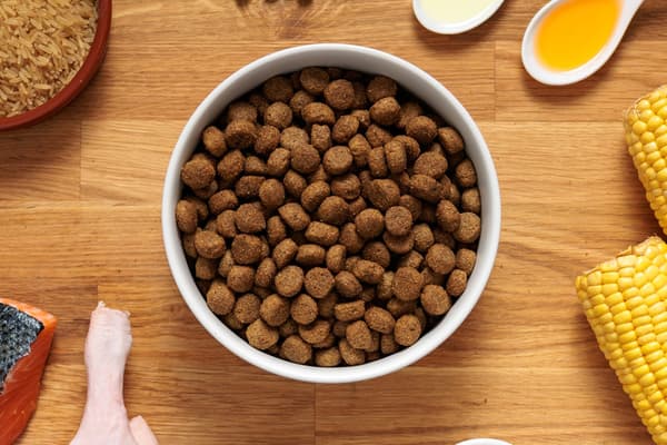 Dr. John Hypoallergenisk tørfoder til hunde med and og laks uden kylling 12,5 kg