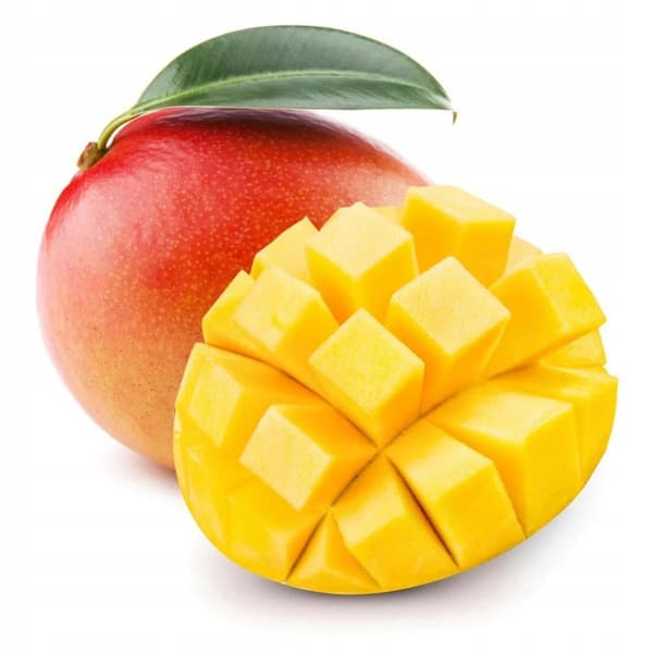 Frysetørret mango sund lækker snack 60g doypack