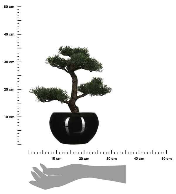 Bonsaitræ i sort potte 36 cm