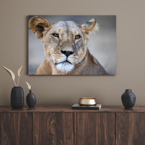 Lærredstryk Dyr Løvinde 100x60 cm