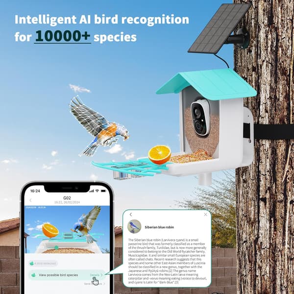 VicoHome G02 Smart fuglefoderautomat med WiFi-kamera med solpanel