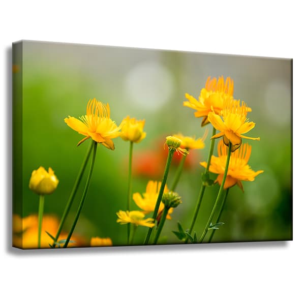 Lærredstryk Botanik Gule blomster 60x40 cm