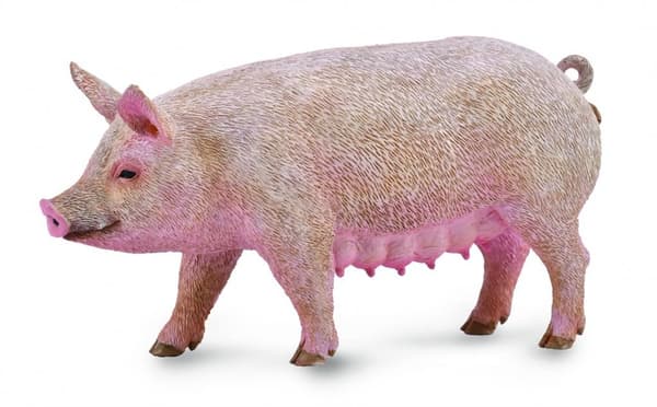 Kylvää