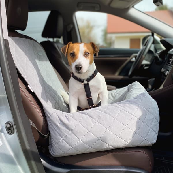 Babyblå autostol til hund