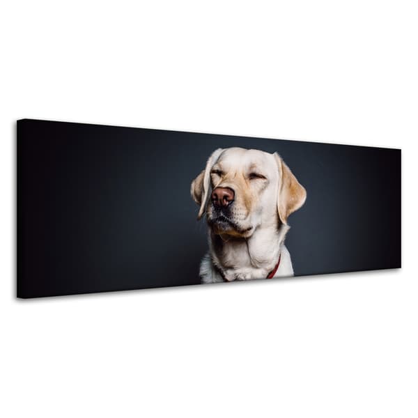 Lærredstryk Dyr Hund Sort baggrund 120X40