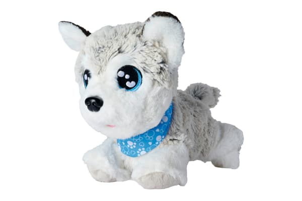 Chi Chi Rakkaus Onnellinen Husky