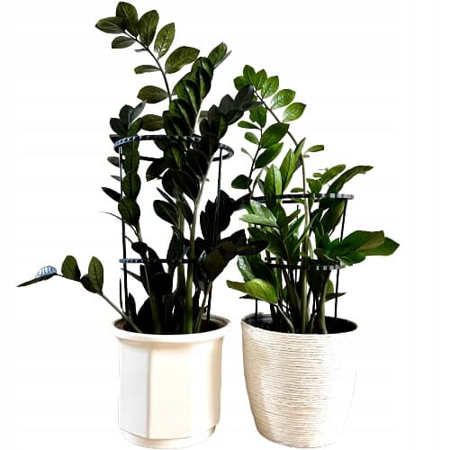 Støttering til blomsterplanter Klemme Støttering S 33x18cm