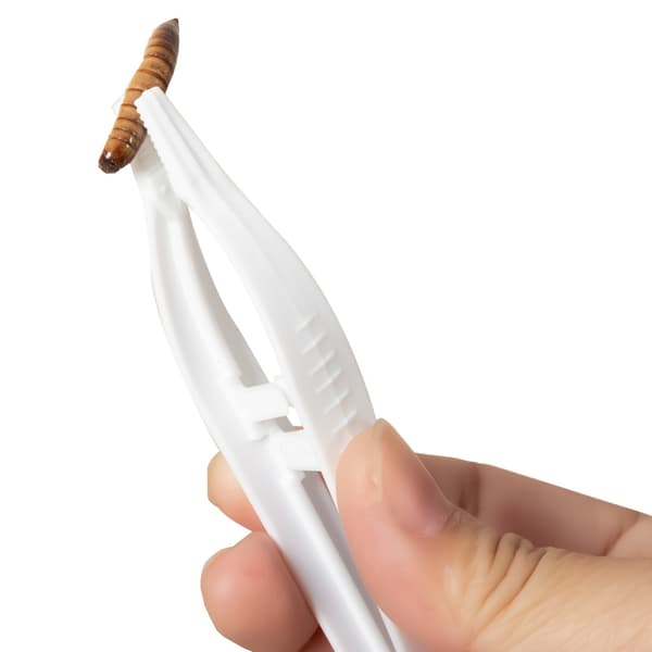 Repti-Zoo Mini -pinsetit - 13 cm
