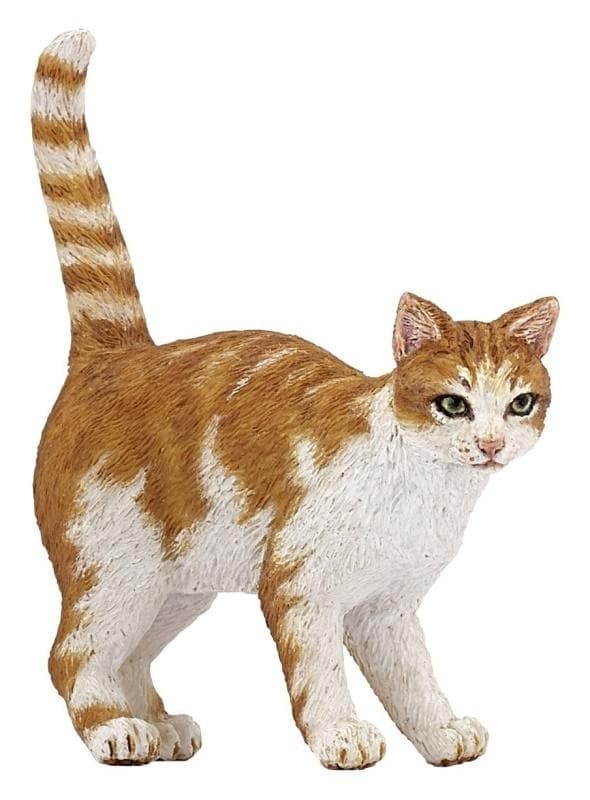 ingefærkat