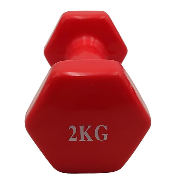 Belagd gjutjärnshantel 2 kg